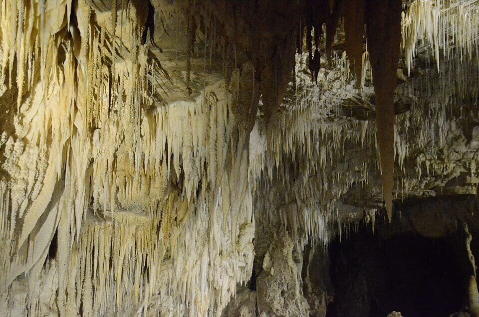 Waitomo Glowworm Caves, New Zealand